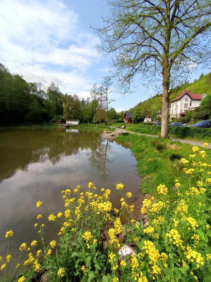 Ferienwohnung Sauerland Burgfenster Lennestadt Dış mekan fotoğraf