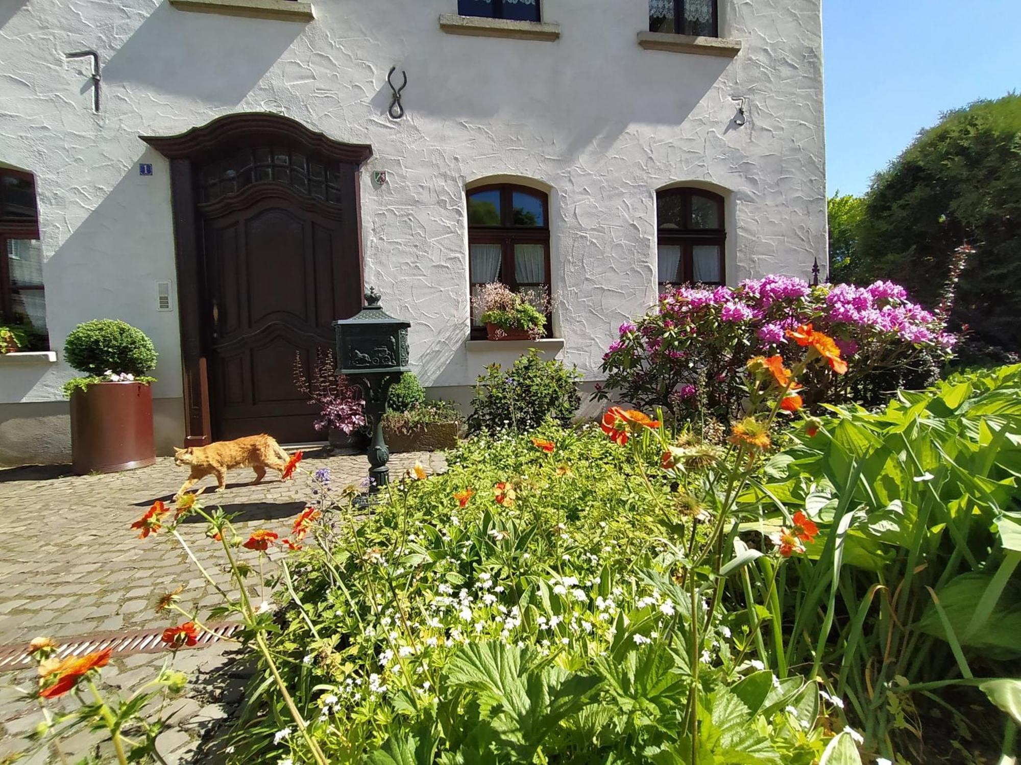 Ferienwohnung Sauerland Burgfenster Lennestadt Dış mekan fotoğraf