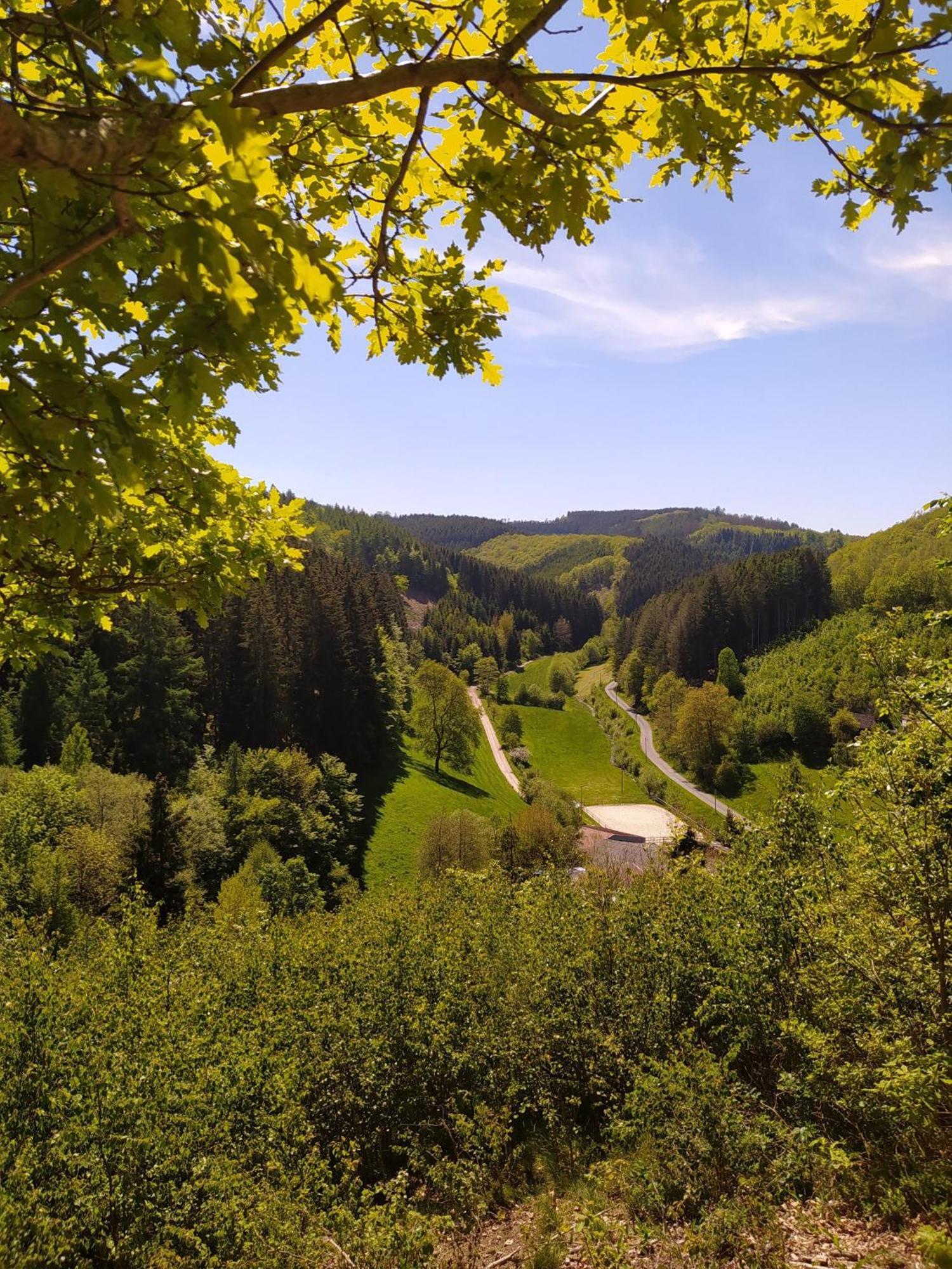 Ferienwohnung Sauerland Burgfenster Lennestadt Dış mekan fotoğraf
